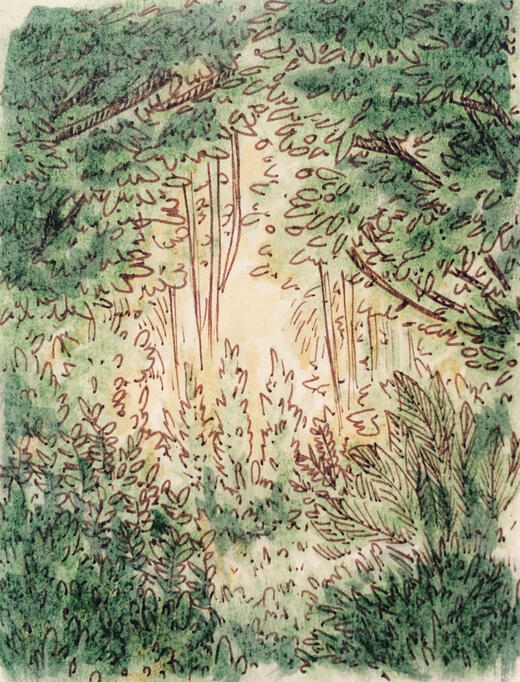 Forest Light Forest Light