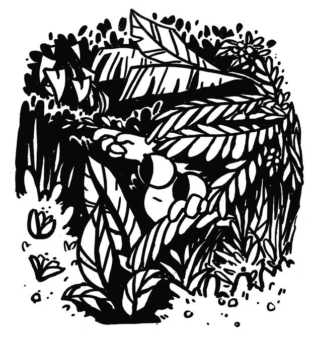 Plant Poke Plant Poke