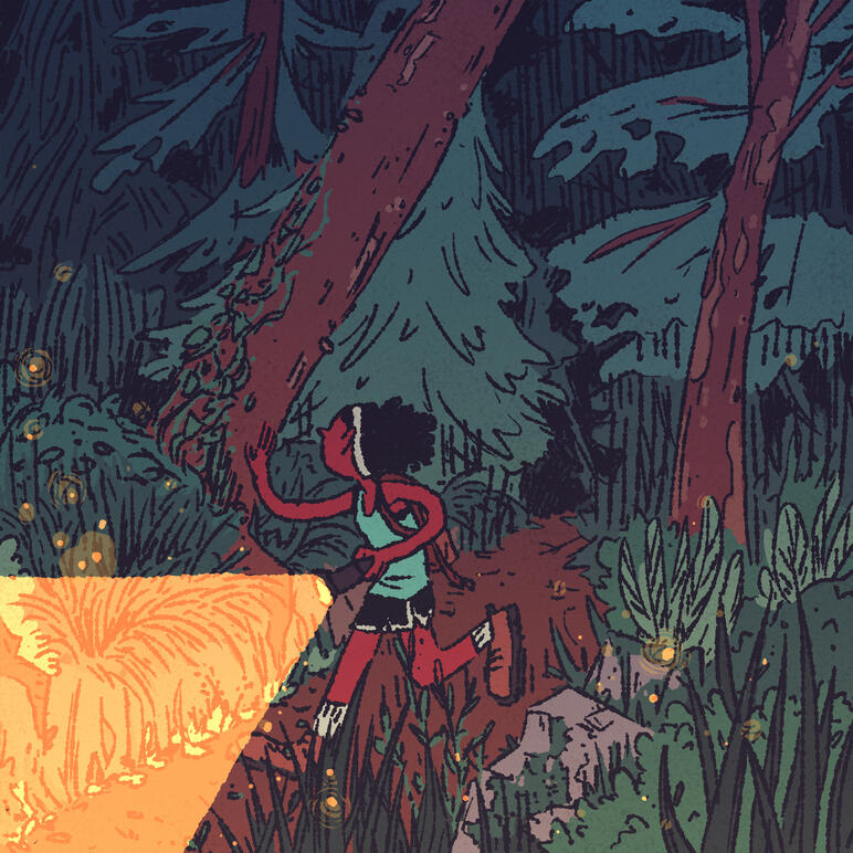 Forest Run Forest Run